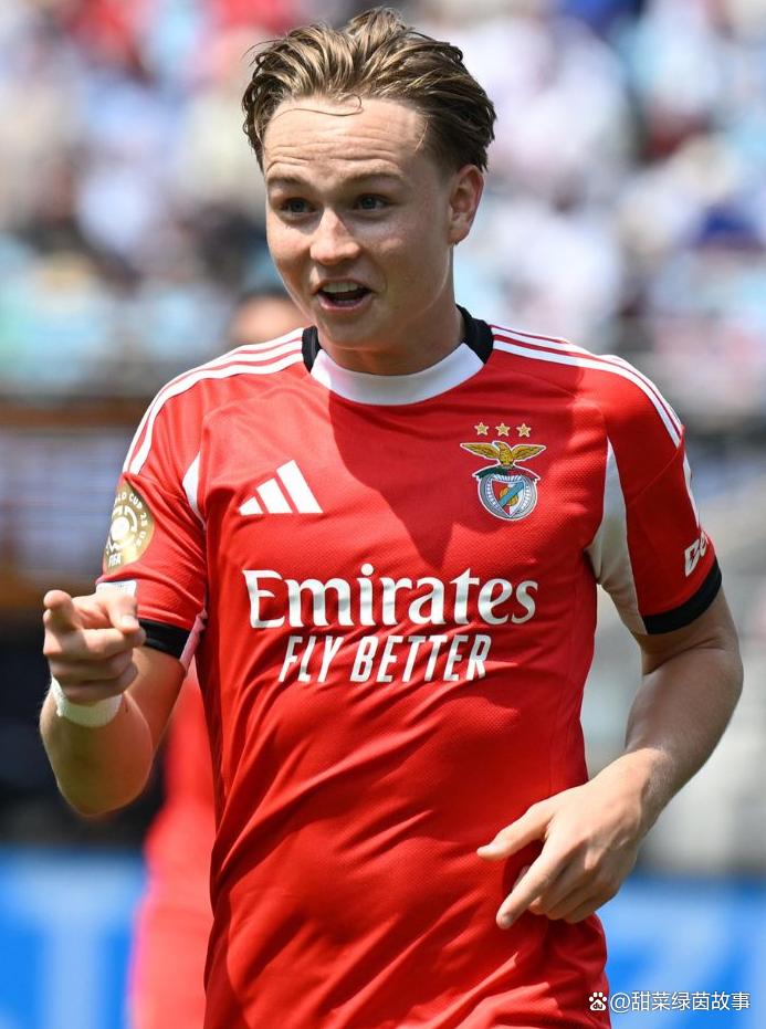 从德甲冲刺阶段刷纪录到清晨丹佛掘金调整名单以备葡超，本菲卡围绕德国杯战术微调的简单介绍