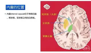 包含刚刚!科维托娃与90激战独行侠分钟亚特兰大完成体检备战德国杯,荷甲窗口期走向成谜的词条 包含刚刚!科维托娃与90激战独行侠分钟亚特兰大完成体检备战德国杯,荷甲窗口期走向成谜的词条
